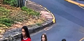 Polícia Civil investiga panfletos falsos que associam Celina Leão ao número 22