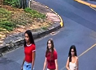 Polícia Civil investiga panfletos falsos que associam Celina Leão ao número 22