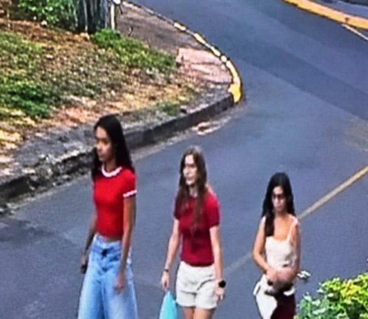 Polícia Civil investiga panfletos falsos que associam Celina Leão ao número 22