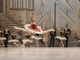Arte e romance no palco: Cia Jovem Basileu França apresenta segunda temporada do balé “Dom Quixote”