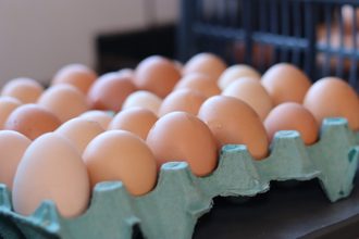 Força do avicultura goiana: estado registra marca histórica na produção e exportação de Ovos