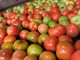 O império do tomate: como Goiás consolidou a liderança nacional no cultivo do fruto
