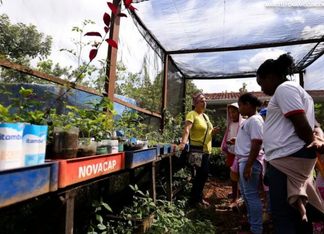 Política de educação ambiental para estudantes do ensino infantil ao médio é instituída
