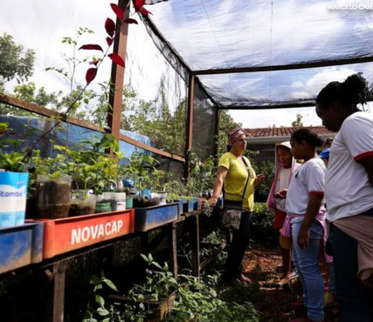 Política de educação ambiental para estudantes do ensino infantil ao médio é instituída