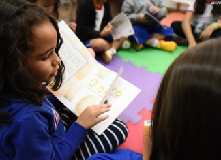 Livros: escolas públicas de educação infantil podem escolher acervo de 2027-2029