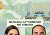 Força do Conservadorismo: Carol de Toni e Carlos Bolsonaro asseguram as vagas de Santa Catarina no Senado