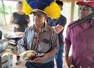 Trabalho e ciência: milho sagrado volta a germinar em aldeias Avá Guarani no PR